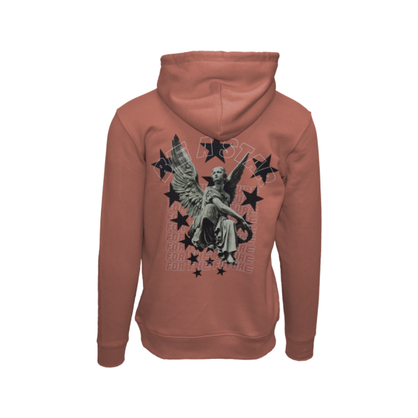 FTF Hoodie  Be A Star - Rose